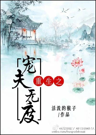 重生之宠夫如命