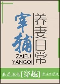 宰辅养妻日常书评