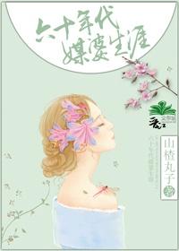 六十年代媒婆生涯txt百度
