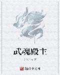 武魂殿的殿主