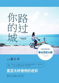 路过你城市的句子