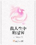 人生中的过客经典诗词