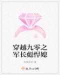重生九零之军长佳妻