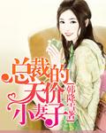 总裁的天价小妻子无删减