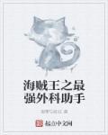 海贼王之辅助系统