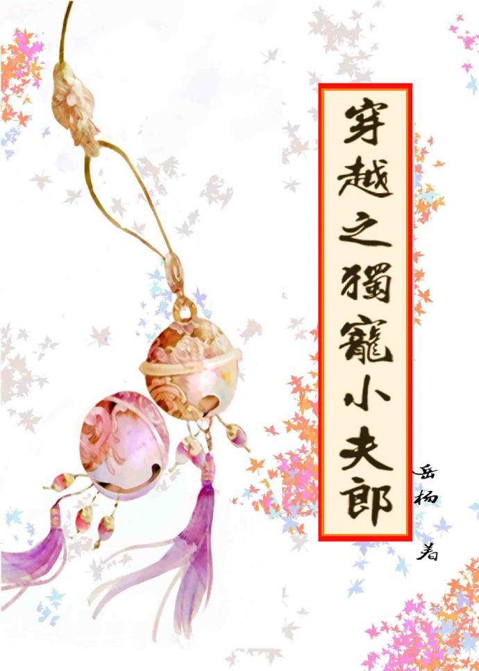 穿越之独宠小夫郎_