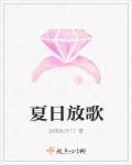 播放夏日什么