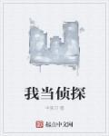 我的侦探结果