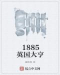 1885英国大亨免费阅读