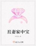 丑妻家中宝顺口溜