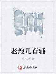 老炮儿解释