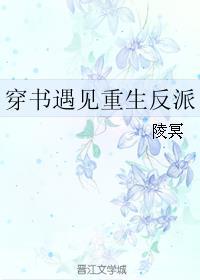 穿书遇到反派完结宠文