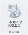 一拳超人天空王A市