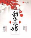 韶华似锦顾九柔