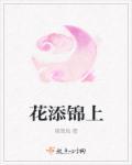花添锦上锦添花的意思