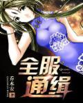全服通缉橙光破解版攻略