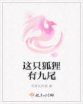 这只狐狸很狡猾
