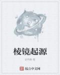 棱镜怎么解释