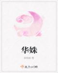 华姝最后怀了谁的孩子