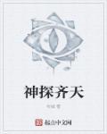 神探齐格勒阅读