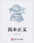 我本正义电视剧