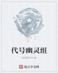 代号幽灵行动队电视剧