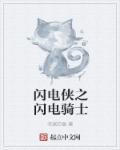 闪电侠第一季中文版