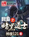 网游之黑暗道士评价