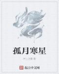孤星寒月乐文
