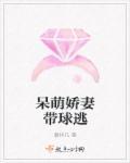 呆萌爱妻有点甜