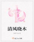 风清月晓