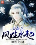 天命风流的意思