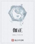 伽政富