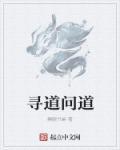 寻道问道克制纯爆的注意事项