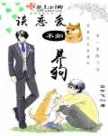 恋爱不如养只猫