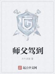 师父驾到电视剧免费观看