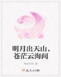 明月出天山苍茫云海间的全诗