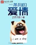 一条狗引发的故事