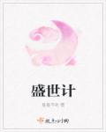 盛世计划骗局