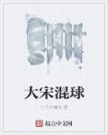 混子曰大宋风云