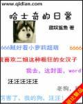 哈士奇饲养指南