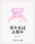 重生在过去那年 喜来乐起点阅读