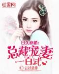 日久情深 总裁爱妻如命