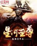星河至尊等级和境界
