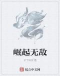 崛起bug无限秘药