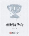 密斯特扒65页