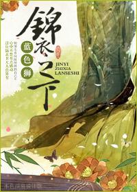 锦衣之下电视剧免费观看
