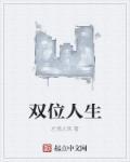 双人生模拟器