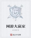 网游大赢家原著全本
