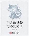 不死者之王里的魔法